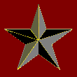 Gray star on maroon