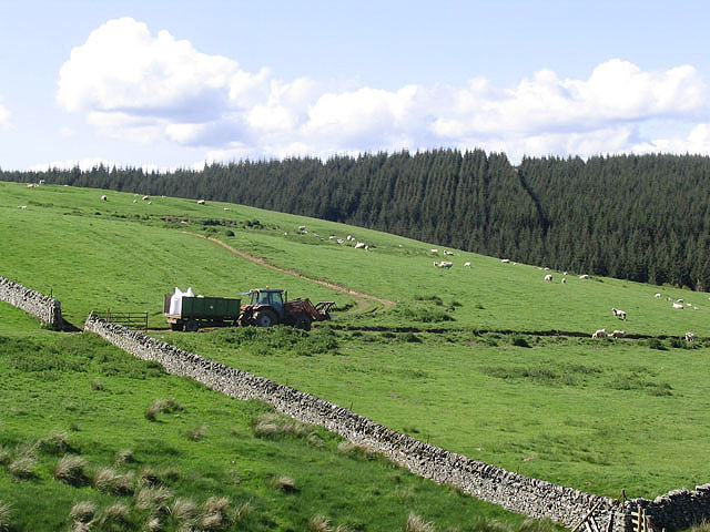 File:Livestock field on Green Hill - geograph.org.uk - 440877.jpg