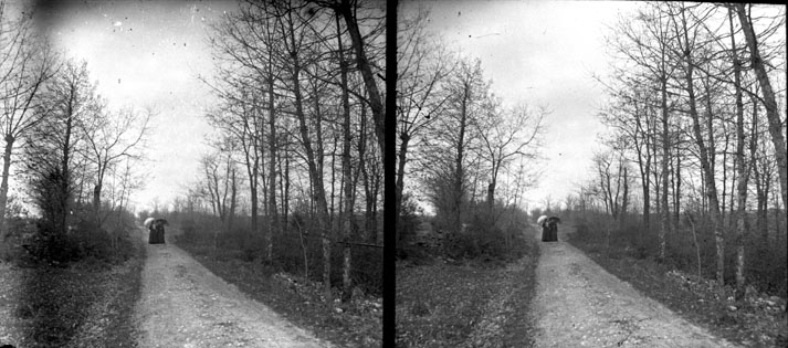 File:Femmes se promenant dans un chemin forestier (5470710957).jpg