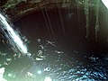 Schwimmer in einer Cenote in Quintana Roo, Mexiko.