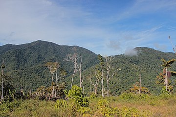 Arfak mountains in Papua