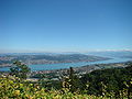 Zürichsee vom Uetliberg aus gesehen