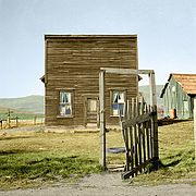 Dorothealange color 8b35311a.jpg