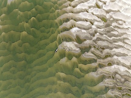 Fishermen fishing with a big net in River Padma, district of Rajshahi, Bangladesh