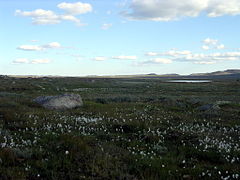 Hardangervidda, Hordaland county