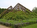 "Rosarium_Hattersheim_Pyramiden.JPG" by User:Karsten11