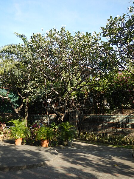 File:Intramurosjf0881 45.JPG