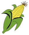 Ear of maize with silk.svg