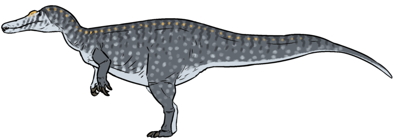 File:Life reconstruction of Vallibonavenatrix cani.png