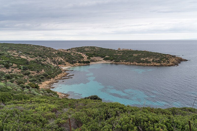 File:2024-10-06 Asinara 10.jpg