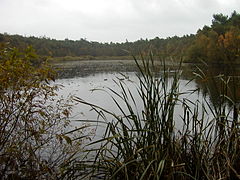 16.6.11 Wernerwald