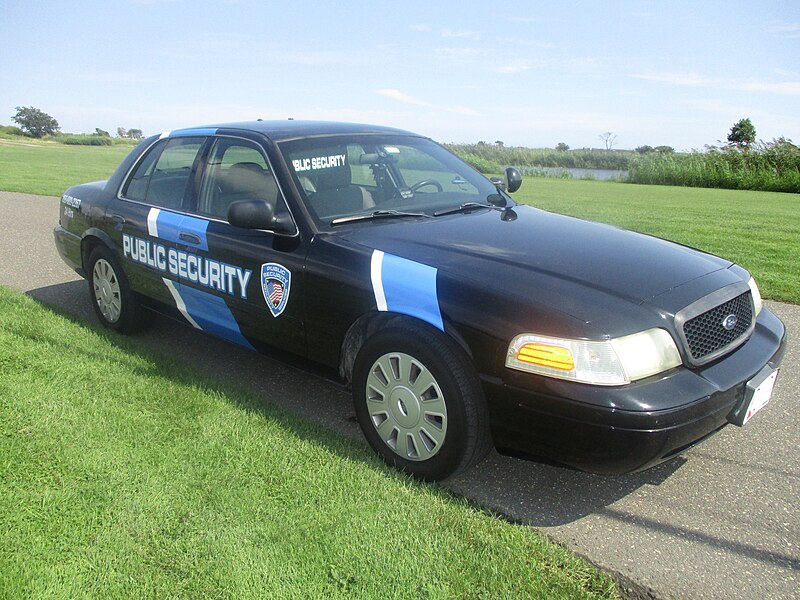 File:Public Security LLC Cruiser 2018.jpg