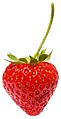 * Nomination Garden strawberry Benjamint 10:51, 4 December 2007 (UTC) * Promotion This one is good!! Lycaon 11:03, 4 December 2007 (UTC) Thanks Benjamint