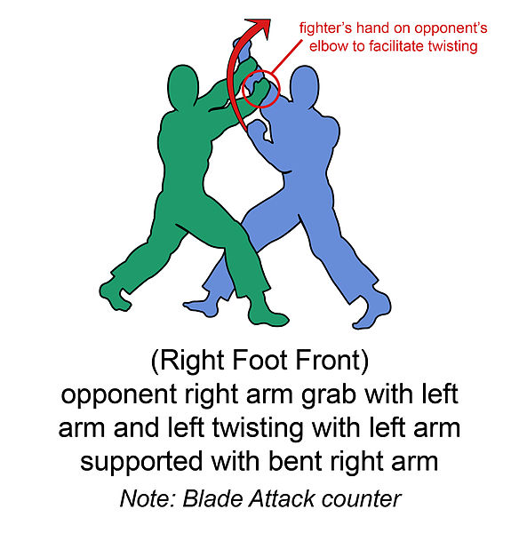 File:Generic fighting style GrabTechnique 1.JPG