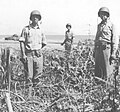 Merritt Edson (left) and Clifton Cates (right) at the mouth of the Matanikau in late October, 1942.