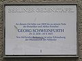 Georg Schweinfurth, Willmanndamm 3, Schöneberg