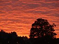 * Nomination Sunset at Tarrío, municipality of Culleredo, A Coruña (Spain). -Elisardojm 21:17, 19 November 2012 (UTC) * Decline Noise --The Photographer 22:16, 24 November 2012 (UTC) Yes, the subject isn't great. Mattbuck 08:40, 29 November 2012 (UTC)