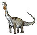 Huabeisaurus illustration