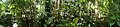 Deutsch: Panorama des Tropenhauses des Botanischen Gartens Bochum. English: Panoramic of the tropical greenhouse of the Bochum botanical garden.