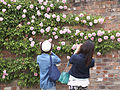 "At_rose_garden._(17265764850).jpg" by User:Tm