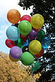 * Nomination Toy balloons -- George Chernilevsky 16:37, 8 January 2012 (UTC) * Promotion QI to me--Lmbuga 23:40, 9 January 2012 (UTC)