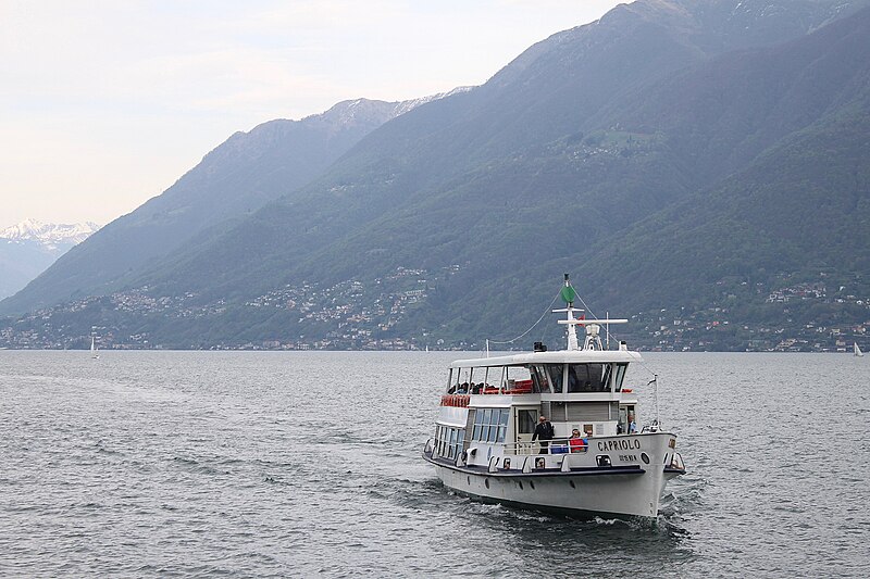 File:1 MN Capriolo Brissago 210419.jpg