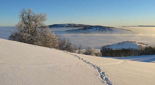 Winter on Himmeldunkberg (888m) in the Rhön Mountains