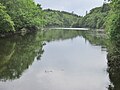 Le fond de la rivière (ria) de Merrien.