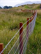 Lismore-fences.jpg