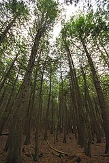 Peninsula State Park, Door County, Wisconsin