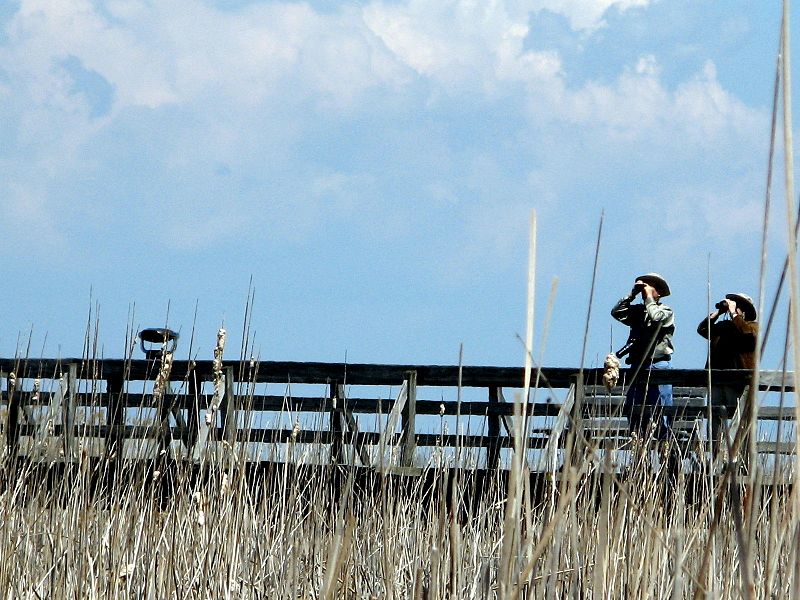 File:Bird spotters (4576397998).jpg