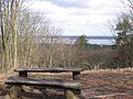 View from „Großen Müggelberg“ to Müggelsee