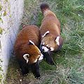 Calgary Zoo, Alberta, Canada