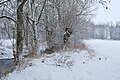 Im Glemstal, Winter 2010, Mühlkanal der Tonmühle