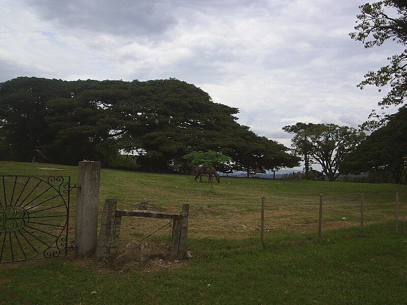 File:Cascata-Pelotas.JPG