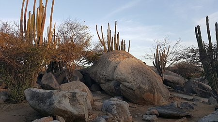 Casibari (Aruba) one of the nicest spots on this happy island