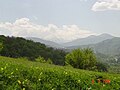 Springtime in Dilijan