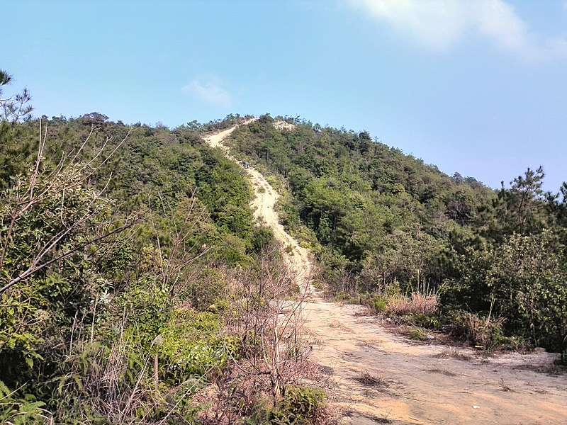 File:李田防火带越野穿越20140204 - panoramio (9).jpg