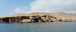 les Îles Ballestas et la Réserve nationale de Paracas.- Pérou.