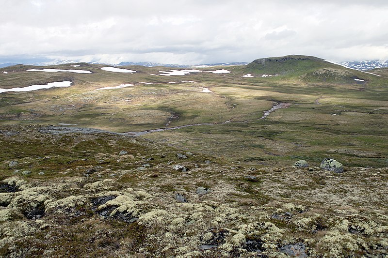 File:Hardangervidda - panoramio.jpg