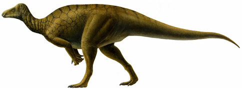 April 13: Life restoration of a Hippodraco dinosaur.