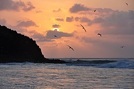 Sunset at Noronhas' beach