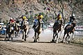 Camel Cup, Alice Springs.