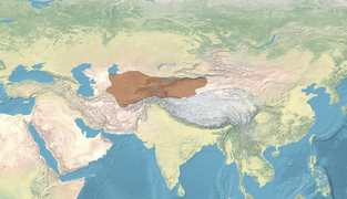 Map of the Hephthalites.png