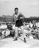 Harry Greb -  Bild