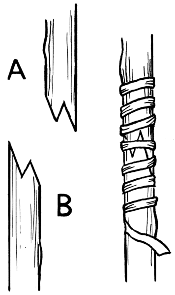 File:Grafting (PSF).png