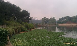 安泰园 - panoramio (2).jpg