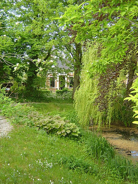 File:Pieterburen-tuin-vijver.JPG