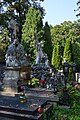 Graves at Rakowicki View G