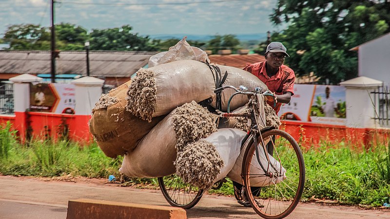 2nd Prize: Bicycle being used to transport cotton along the Chipata Mfuwe road in Eastern province, Zambia by User:Zenith Mwape